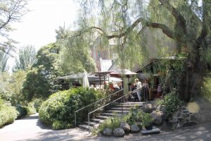 Cheapest, Healthiest meal in Melbourne, in an idyllic setting