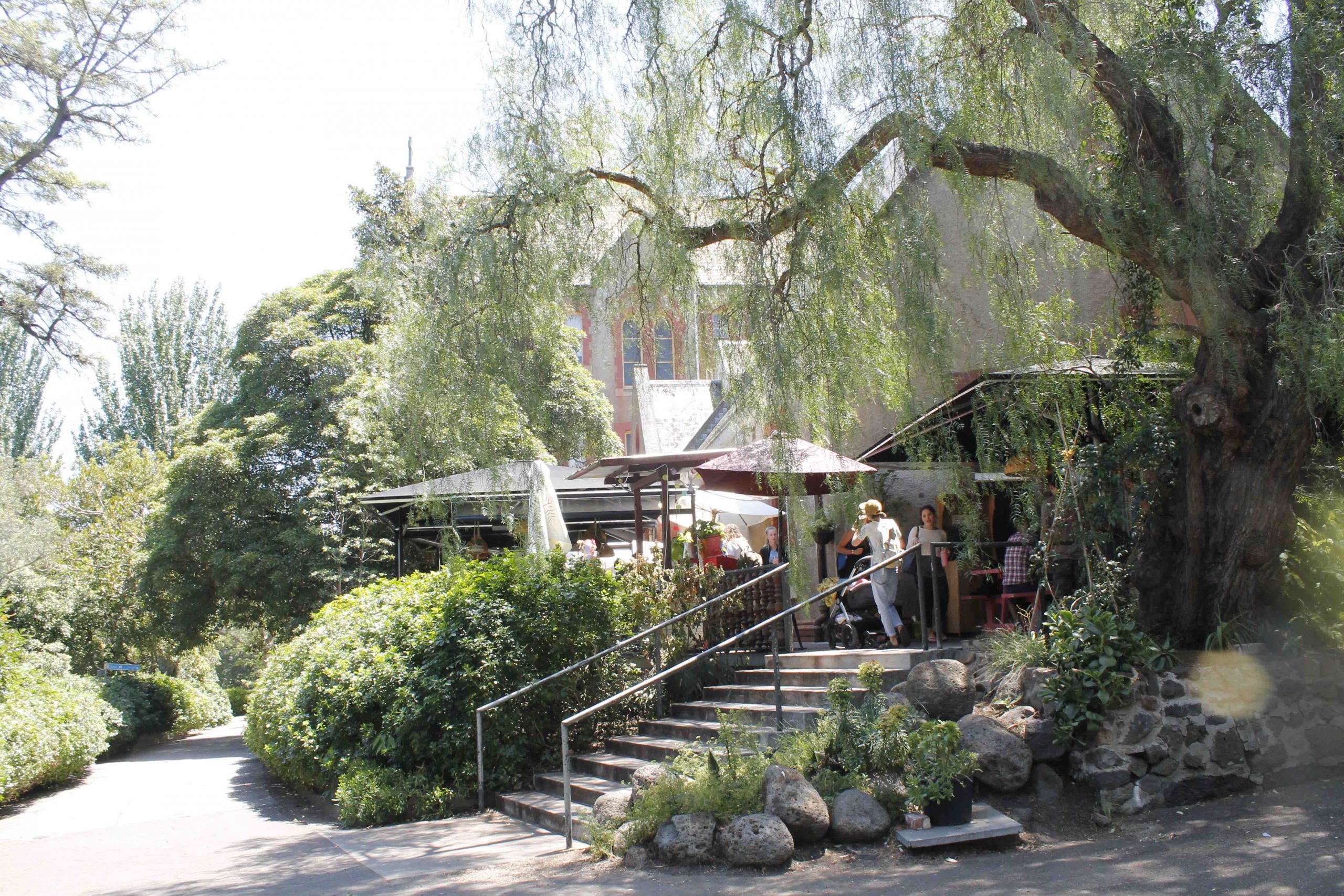 Cheapest, Healthiest meal in Melbourne, in an idyllic setting